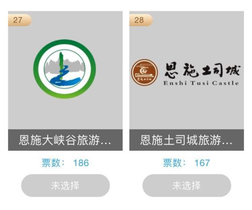 为恩施企业投票 首届湖北省文化产业品牌选树活动开启