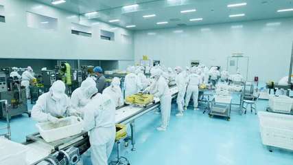 疆果果 深耕新疆坚果，以创新研发打造品质与文化融合的产业标杆